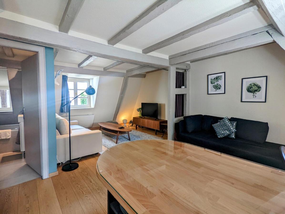 Citycosy Strasbourg - Authentique Batelier Exteriér fotografie