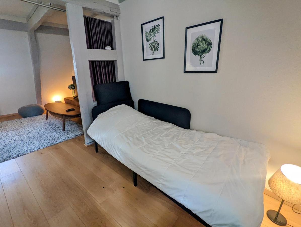 Citycosy Strasbourg - Authentique Batelier Exteriér fotografie