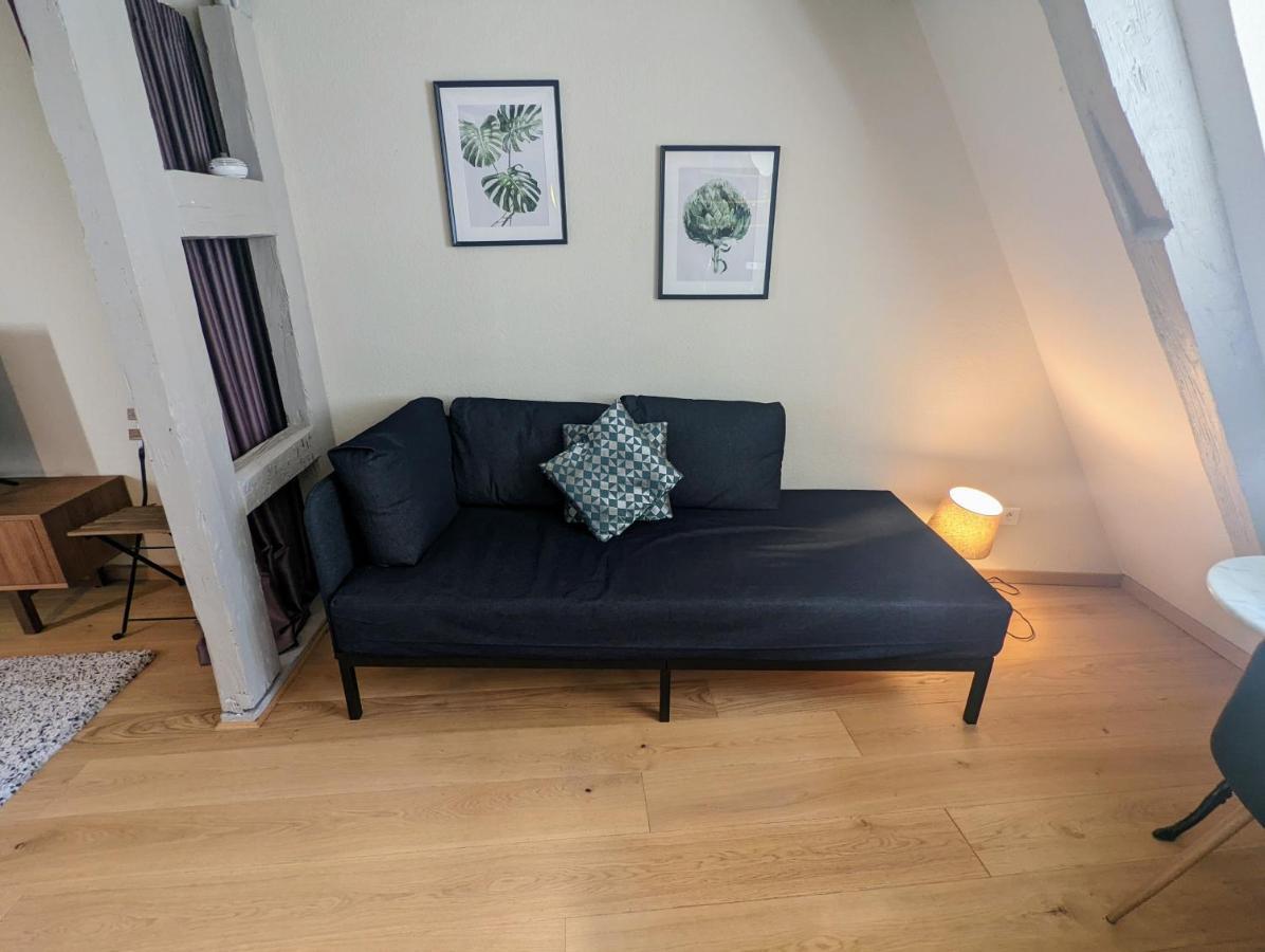 Citycosy Strasbourg - Authentique Batelier Exteriér fotografie